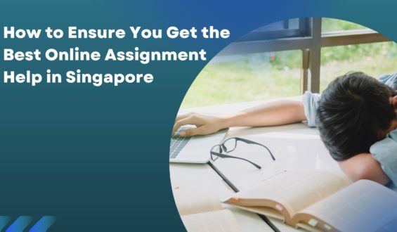 How to Ensure You Get the Best Online Assignment Help in Singapore