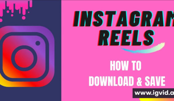 Instagram Download Video Free: Instantly Access Unlimited Video Content